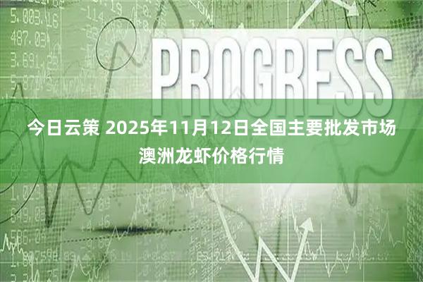今日云策 2025年11月12日全国主要批发市场澳洲龙虾价格行情