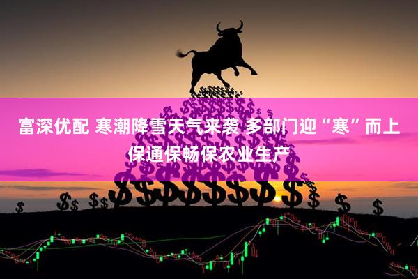 富深优配 寒潮降雪天气来袭 多部门迎“寒”而上保通保畅保农业生产