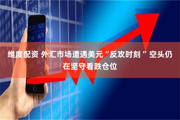 维度配资 外汇市场遭遇美元“反攻时刻“ 空头仍在坚守看跌仓位